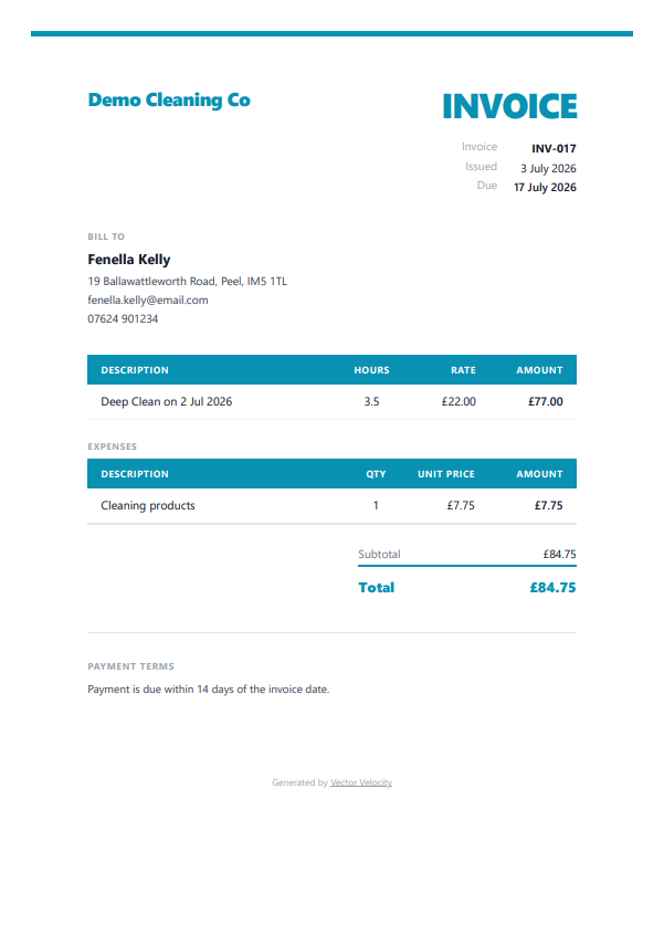 Vector Velocity — single invoice detail